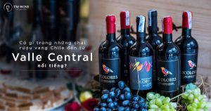 Ruou-vang-chile-tu-valle-central_TM-Wine