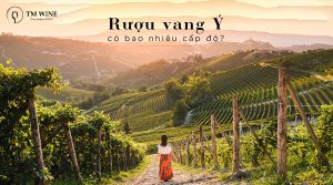 Ruou-vang-y-co-bao-nhieu-cap-do-min