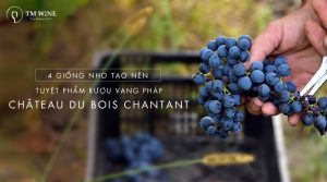 Ruou-vang-do-blend-phap