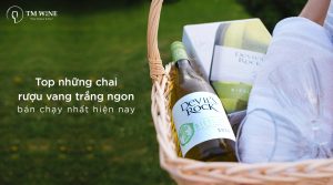 TMW_Top-ruou-vang-trang-ngon_Thumnail-Web-min