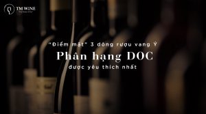 diem-mat-3-dong-ruou-vang-y-phan-hang-doc-duoc-yeu-thich-nhat