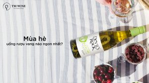 Mùa hè uống rượu vang nào ngon nhất gợi ý bởi TM Wine Việt Nam