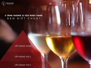 Ruou-vang-va-cac-tang-huong-vi-co-ban-1-min
