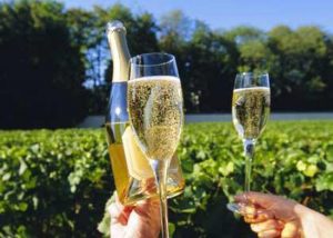 TMWine-ruou-champagne-Phap-1